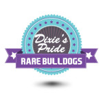dixies-pride-rare-bulldogs